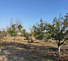 Прямоугольный участок 8 соток с. Нерубайское