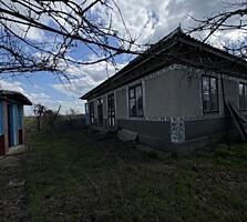 Участок +2 дома на участке (25 соток)с. Чобручи 6500$