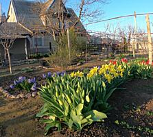 Продам уютный дом.