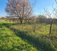 Продается земельный участок с проектом на дом в Суклее