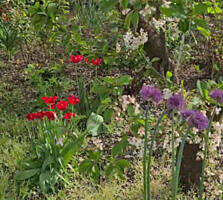 Продам участок 6 соток в селе Светлое, 5 км. от Одессы