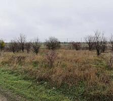 Продается участок 16 соток в 15 минут от моря. Вода и электричество ..