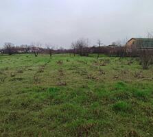 Продам участок возле Одессы, Березань. Расстояние 45 км. Центр. ...