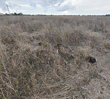 Продаётся участок в Фонтанке правильной формы в престижном районе. ...