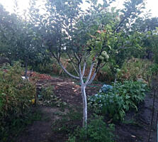 Продается Садовый участок Нерубайское.