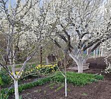 Продам Вашу мечту