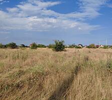 Предлагается к продаже участок земли в с.Молодежное. Есть кадастровый 