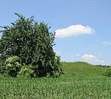 Продаётся участок. Киевская область, Переяславське, улица Райдужна ...