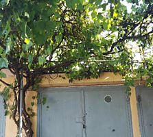 Куплю гараж в Тирасполе ГЭК-3. Гск-3.Рядом с 18 школой.