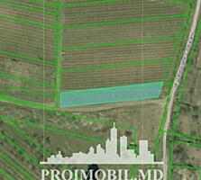 Spre vânzare se oferă teren agricol, situatîn Durlești.Suprafața ...
