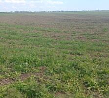 В продаже 4 гектара земли под сельхоз назначение, 4000соток. Фонтанка 