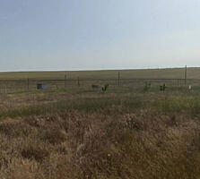 Предлагается к продаже земельный участок общей площадью 10 соток в ...