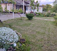 Продам дом в центральной части Карагаша.