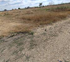 Предлагается земельный участок площадью 6 соток в новой вырезке. ...