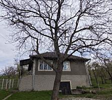 CASA VASIENI Ialoveni