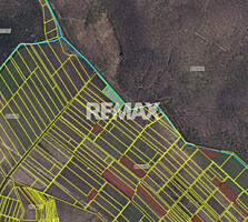 Teren 41,49 ari Ghidighici | deschidere 122 m | agricol | investiție