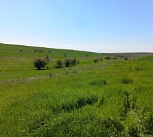 Teren agricol consolidat 5,5 ha!