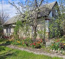 Парканы. Продаётся дом.