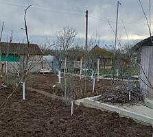 Продам дачный участок СОТ "Яблоко"
