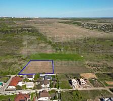 Vânzare, teren agricol, 63.6 ari, Ialoveni
