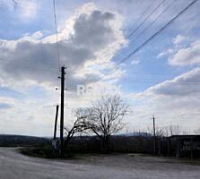 Lot Pomicol în Cricova