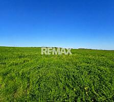 Teren agricol de 40 ari în Ghidighici – oportunitate pentru investiție