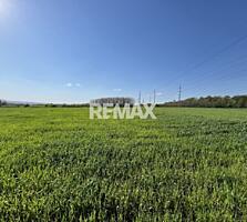 Teren agricol de 24 ari în Ghidighici – aproape de pădure, potrivit pe