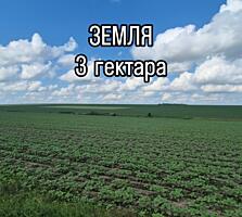 Квота 3 га