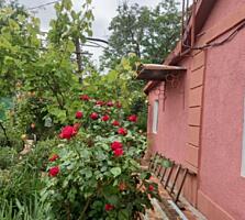 Дом с участком по доступной цене в Светлом!