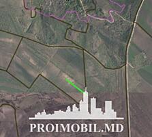 Spre vânzare se oferă teren agricol, situat în Orhei, sat.Podgoreni ..