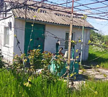 Продам дачу та земельну ділянку в с.Світле (5 км від Одеси)