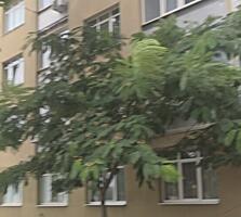1 комнатная квартира на улице Бреуса.