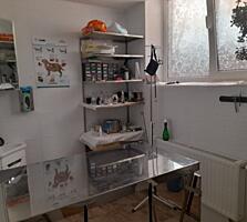 Помещение под бизнес 61 м² в ЖК Реал Парк, действующий объект