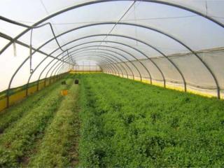 Теплицы, профиль зигзаг пленка в ассортименте, агроволокно арки