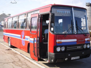 Автобус Ikarus-256 в хорошем состоянии.