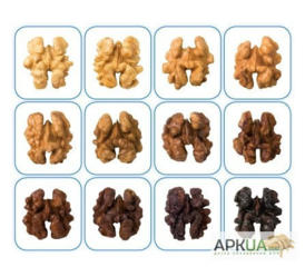 Продаем орехи, ядра грецких орехов, оптом на экспорт.