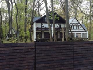 База отдыха в лесу пмр