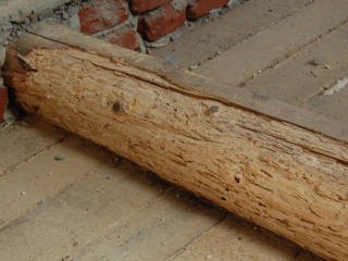 Пропитка для уничтожения насекомых в древесине – Lignofix I-Рrofi
