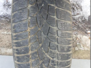 Одна зимняя шина 215х65х16 100 лей