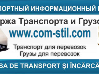Portal, bursa de transport pentru cautarea marfurilor si transportulu