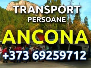 Transport Chișinău-ANCONA-Chișinău. Joi. Preț accesibil.