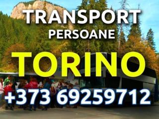 Transport Moldova-Torino (Italia).