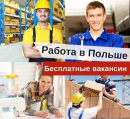 Большой выбор вакансий в Польше от работодателя! Бесплатное оформление!