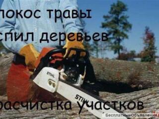 Уборка расчистка участка территории вывоз мусора демонтаж спил Одесса