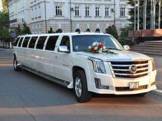 Большой выбор лимузинов на свадьбу "Elitelimo"
