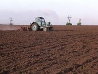 Арендую сельхозземлю 100-150гектаров в любом населенном пункте Молдовы
