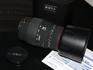 Canon Sigma 70-300mm f/4-5.6 DG APO Macro