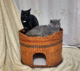 Двухъярусный домик для кошек