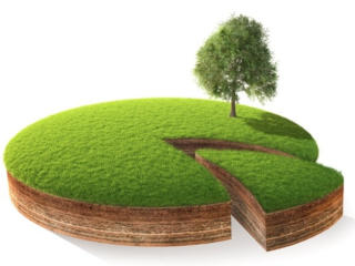 Участок дачный, Сагайдак.