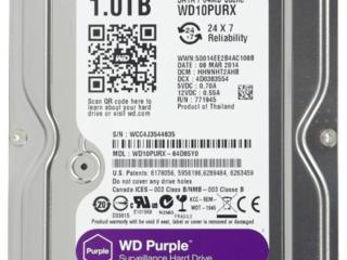 HDD 1TB WD Purple